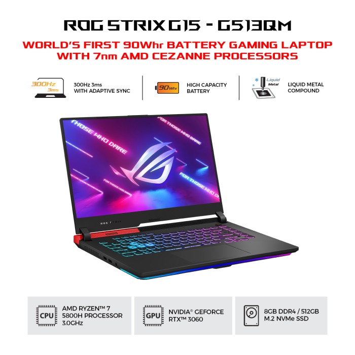 ASUS ROG Strix G15 G513QM-R736D6T-O